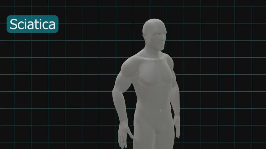 Back Brace for Lower Back Pain, Sciatica, Herniated Disc, Scoliosis, Back Support Belt with Soft Pad, Lightweight Lumbar Support